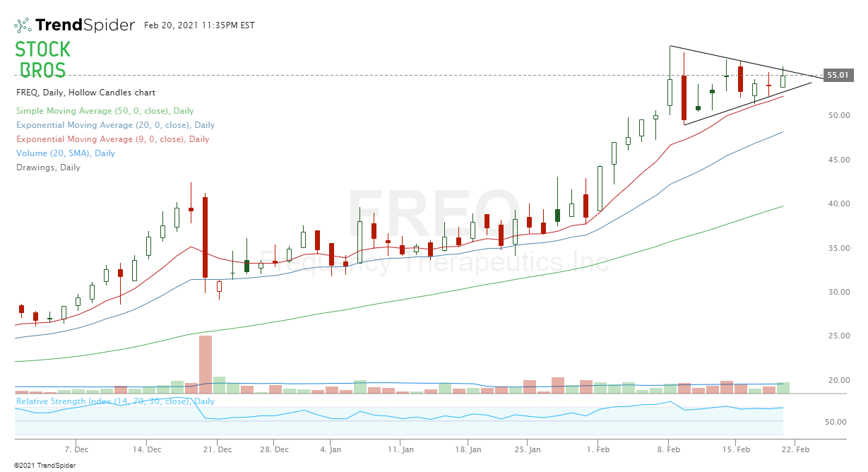 FREQ stock chart